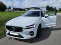 Volvo XC60 B5 D AWD Geartronic AHK Leder Blanco - thumbnail 12