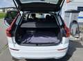 Volvo XC60 B5 D AWD Geartronic AHK Leder Blanco - thumbnail 6