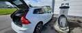 Volvo XC60 B5 D AWD Geartronic AHK Leder Blanco - thumbnail 5