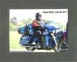 Harley-Davidson Electra Glide Ultra Classic Azul - thumbnail 16