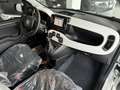 Fiat Panda 1.0 hybrid Cross 70cv LEGGERE DESCRIZIONE Bianco - thumbnail 9