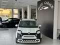 Fiat Panda 1.0 hybrid Cross 70cv LEGGERE DESCRIZIONE Bianco - thumbnail 2