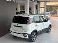 Fiat Panda 1.0 hybrid Cross 70cv LEGGERE DESCRIZIONE Bianco - thumbnail 6
