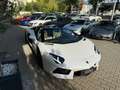 Lamborghini Aventador LP 700-4 Roadster LIFT SENSONUM GARANTIE Blau - thumbnail 6