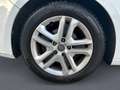 Renault Megane IV 1.5 DCI 115cv Business Weiß - thumbnail 15