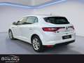 Renault Megane IV 1.5 DCI 115cv Business Weiß - thumbnail 6