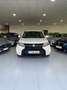 Suzuki Vitara 1.5L Strong Hybrid S3 6AGS Blanco - thumbnail 15