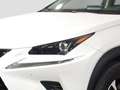 Lexus NX 300 300h Eco 2WD Blanc - thumbnail 6