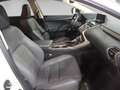 Lexus NX 300 300h Eco 2WD Blanc - thumbnail 9