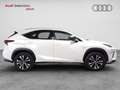 Lexus NX 300 300h Eco 2WD Blanc - thumbnail 3