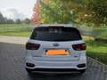 Kia Sorento 2.2 crdi Rebel 4wd 7p.ti auto Bianco - thumbnail 2