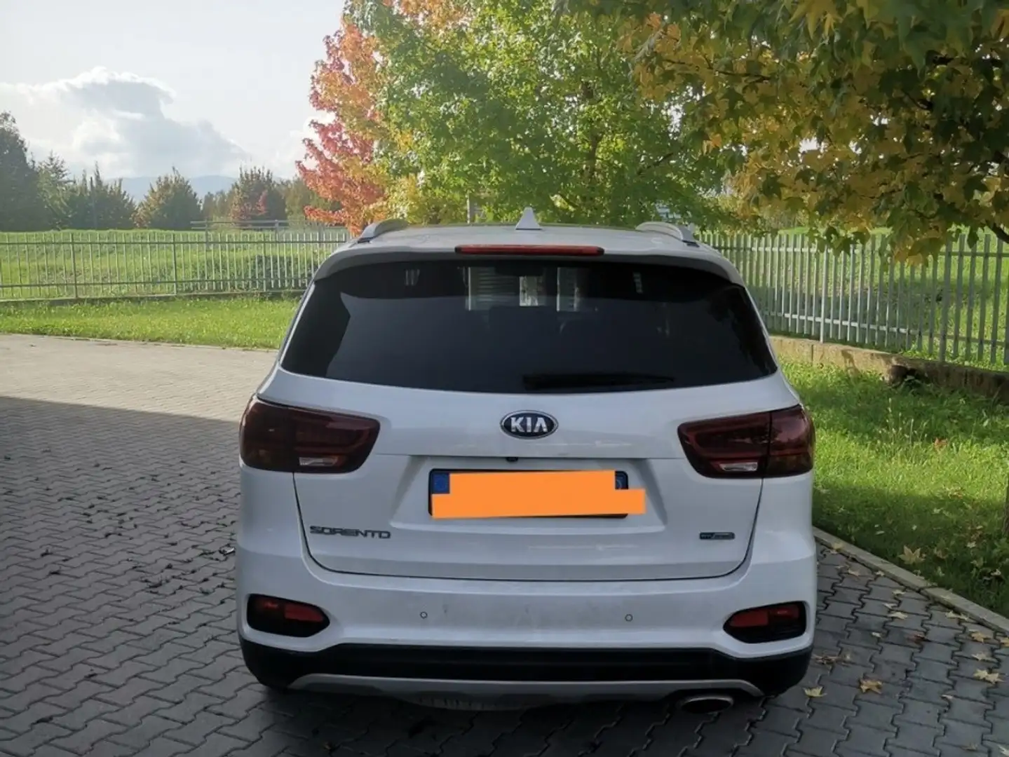 Kia Sorento 2.2 crdi Rebel 4wd 7p.ti auto Bianco - 2