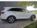 Kia Sorento 2.2 crdi Rebel 4wd 7p.ti auto Bianco - thumbnail 3