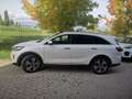 Kia Sorento 2.2 crdi Rebel 4wd 7p.ti auto Bianco - thumbnail 4