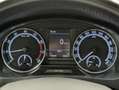Skoda Rapid/Spaceback Spaceback Clever Klimaautom./SHZ/PDC/AHK/T Beige - thumbnail 13