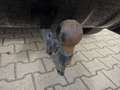 Ford Kuga 180PS ST-Line 4x4 AHK Bi-Xenon Navi TWA Silber - thumbnail 12