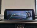 Lexus RX 450h 3.5 F SPORT AUTO 313 5PT - thumbnail 28