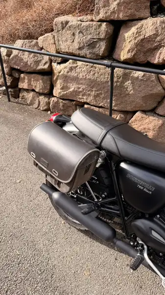 Triumph Bonneville T100 - foto 4