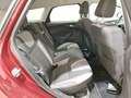 Ford Focus Turnier 1.0 EcoBoost Champions Edition SHZ Rot - thumbnail 11