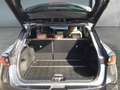Lexus LBX Elegant CVT 4x4       Anhängerkupplung! Grau - thumbnail 19