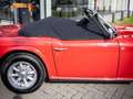 Triumph TR6 PI Body Off restored Roşu - thumbnail 11