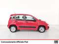 Fiat Panda 1.3 mjt 16v easy s&s 95cv - thumbnail 6