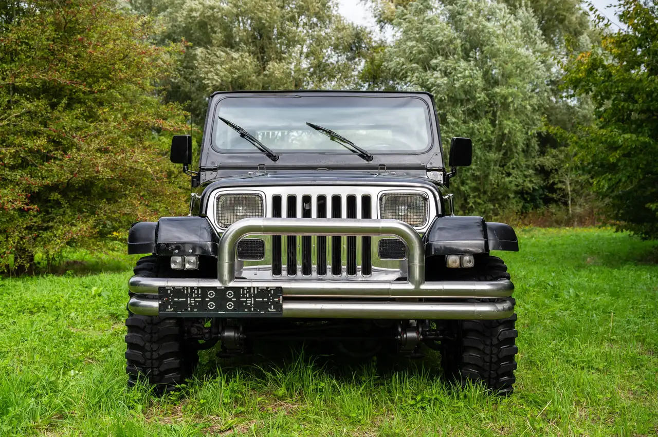 Jeep Wrangler YJ 4.2L, foto 2
