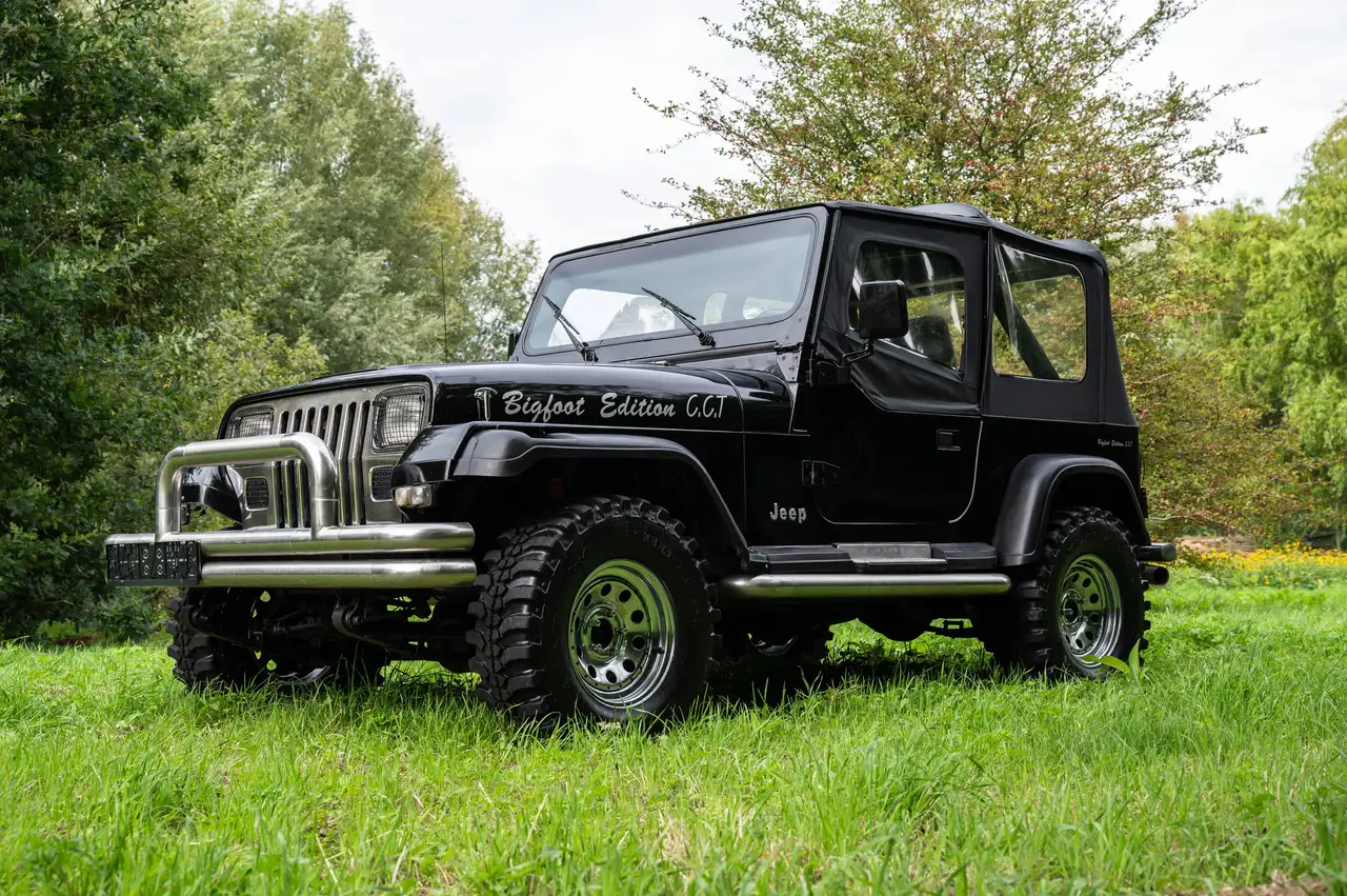 Jeep Wrangler YJ 4.2L, foto 3