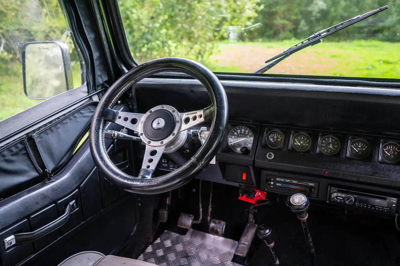 Jeep Wrangler YJ 4.2L, foto 9