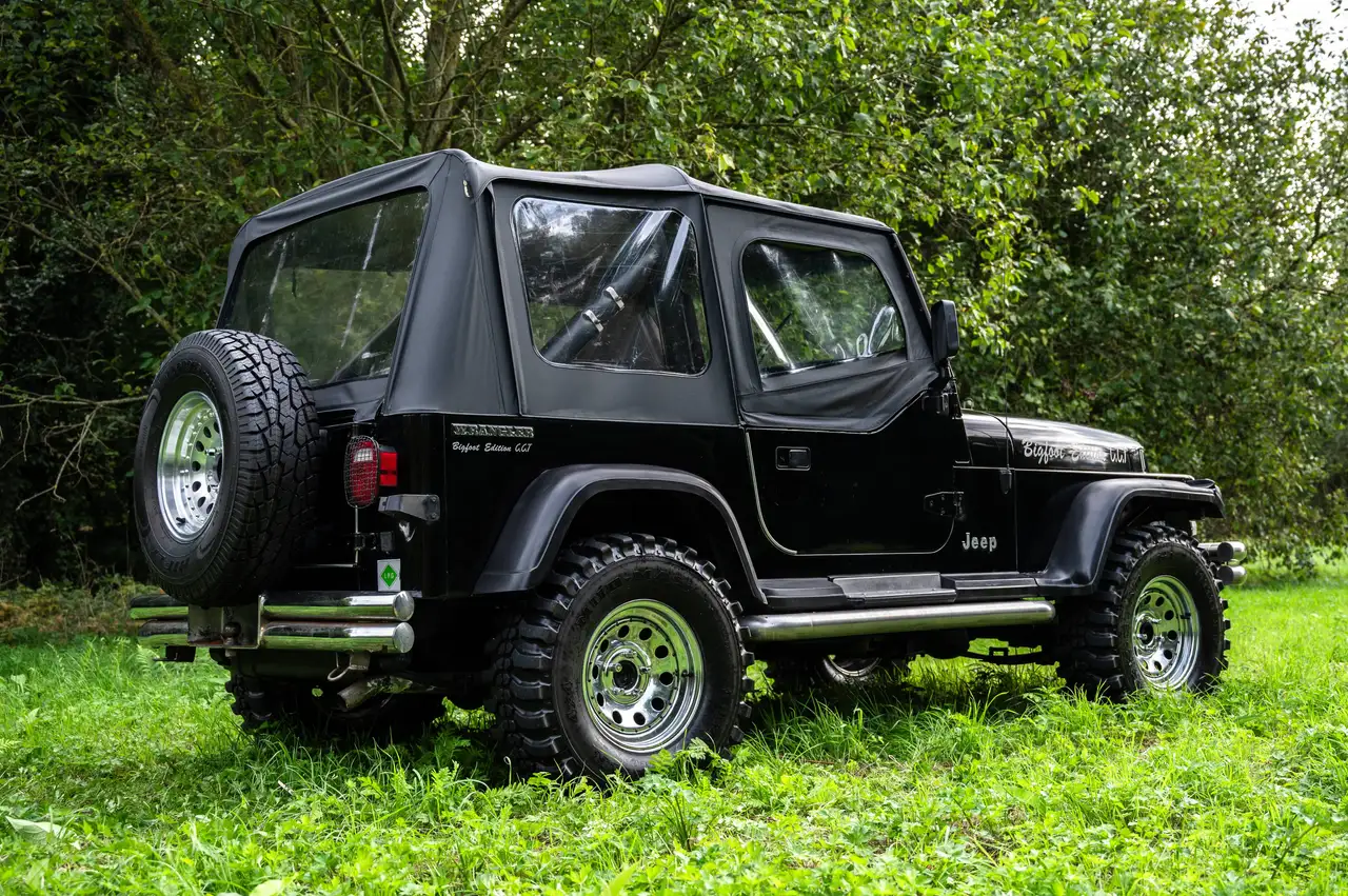 Jeep Wrangler YJ 4.2L, foto 5