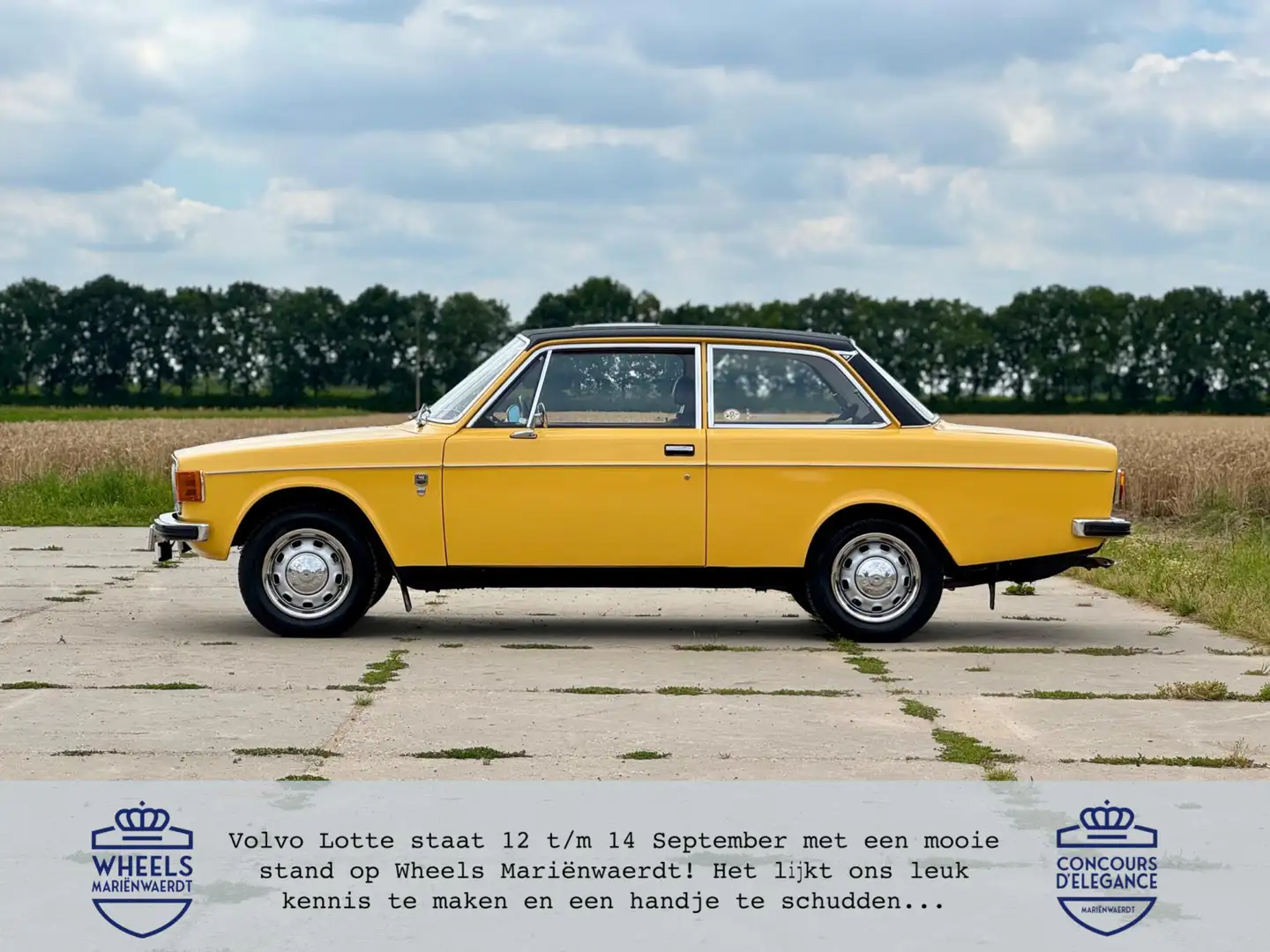 Volvo 142 De Luxe gerestaureerd in prachtige kleurstelli Geel - 1