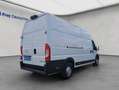 Opel Movano 2.2 D L4H1 2WD VA Edition Kofferaufbau Weiß - thumbnail 6