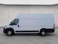 Opel Movano 2.2 D L4H1 2WD VA Edition Kofferaufbau Weiß - thumbnail 2