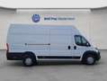 Opel Movano 2.2 D L4H1 2WD VA Edition Kofferaufbau Weiß - thumbnail 7