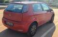 Fiat Punto Evo 5p 1.4 natural power Emotion 70cv - thumbnail 2