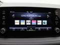 Skoda Fabia Selection 1.0 TSI/ LED, Tempomat, RFK, SHZ Grau - thumbnail 14