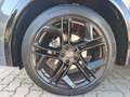 Volkswagen Tiguan R-Line 1.5 eTSI DSG AHK STANDHEIZ HARMAN 20" 4xKA Gris - thumbnail 11