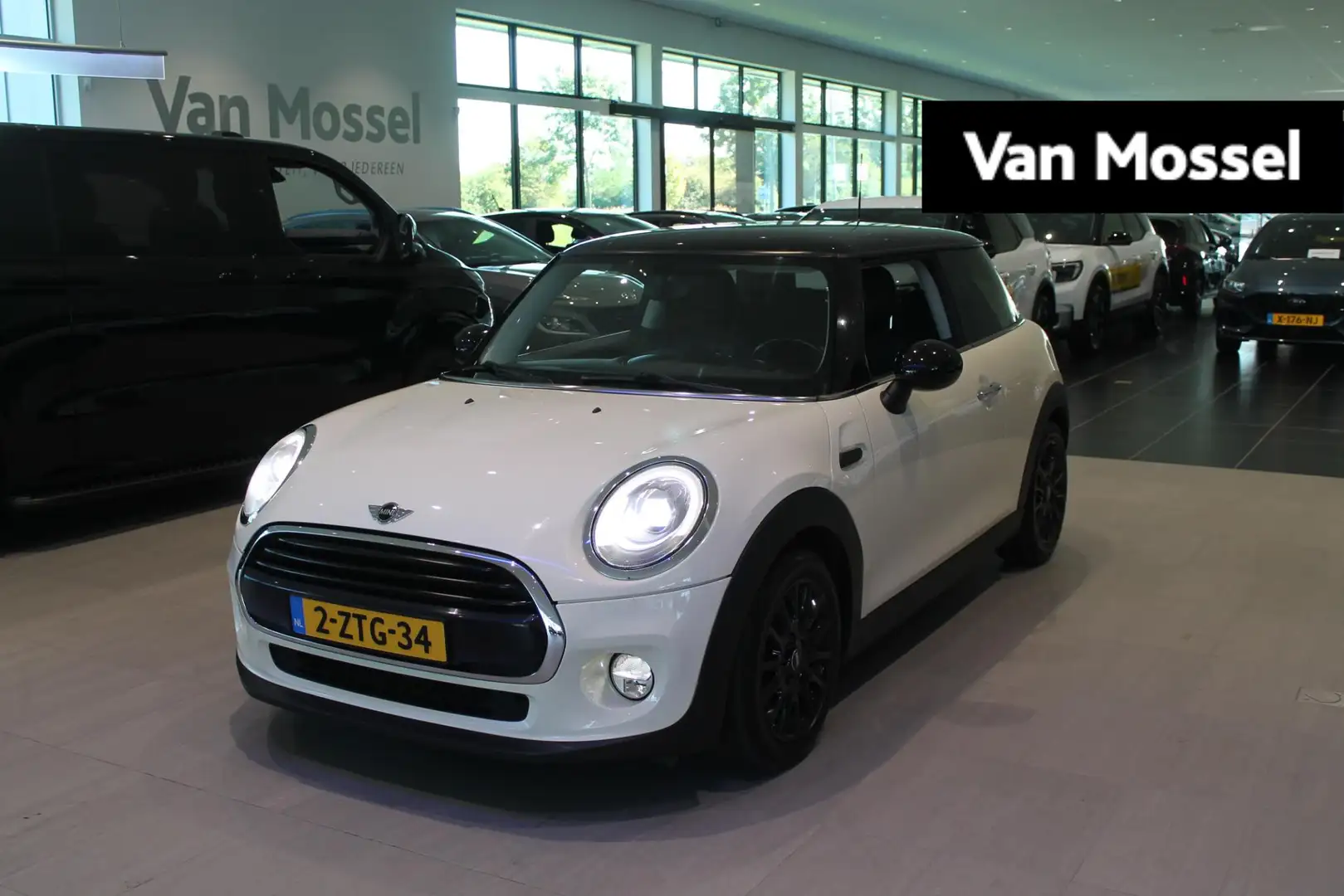 MINI Cooper Mini 1.5 Business | LED | Parkeersensoren achter | Blanc - 1