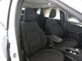 Ford Kuga Kuga 1.5 EcoBlue 120 CV aut. 2WD Titanium Business Wit - thumbnail 7
