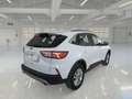 Ford Kuga Kuga 1.5 EcoBlue 120 CV aut. 2WD Titanium Business Wit - thumbnail 2