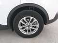 Ford Kuga Kuga 1.5 EcoBlue 120 CV aut. 2WD Titanium Business Wit - thumbnail 10