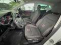 SEAT Ibiza 1.6 TDI 95cv FR Blanc - thumbnail 12