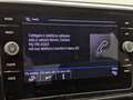 Volkswagen T-Roc 1.0 TSI R-Line Plus Grigio - thumbnail 11