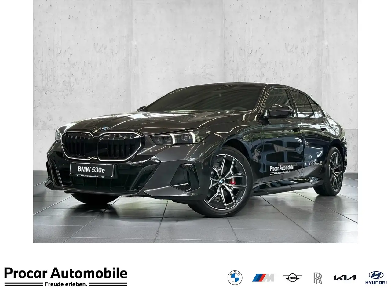 BMW 530 e MSportPro Memory 360° B/W DA Prof Pano