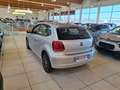 Volkswagen Polo 1.2 TDI DPF 5 p. Comfortline Argento - thumbnail 5