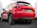 Mazda CX-5 Sports AUT./ACC/SPUR/KAMERA/LED/AHK/GARANTIE Rouge - thumbnail 3