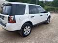 Land Rover Freelander 2.2 td4 SE 4wd 150cv - thumbnail 4