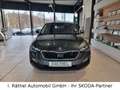 Skoda Scala 1,0 TSI Cool Plus Grau - thumbnail 3