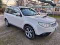 Subaru Forester 2.0D XS Trend Weiß - thumbnail 3