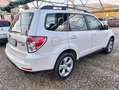 Subaru Forester 2.0D XS Trend Weiß - thumbnail 5